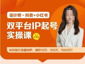 双平台IP起号实操营，教你如何靠打造设计IP，赚到10万、100万、1000万?-金鼎聊项目