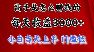 (12144期)1天收益3000+,月收益10万以上,24年8月份爆火项目-金鼎聊项目
