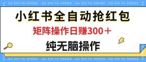 （12151期）最新小红书全自动抢红包，单号一天50＋  矩阵操作日入300＋，纯无脑操作-金鼎聊项目