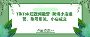 TikTok短视频运营+跨境小店运营，账号引流、小店成交-金鼎聊项目