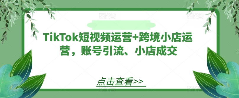 TikTok短视频运营+跨境小店运营，账号引流、小店成交-金鼎聊项目