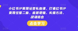 小红书IP变现运营私教课，打通红书IP变现任督二脉，底层逻辑、实操方法、战训结合-金鼎聊项目