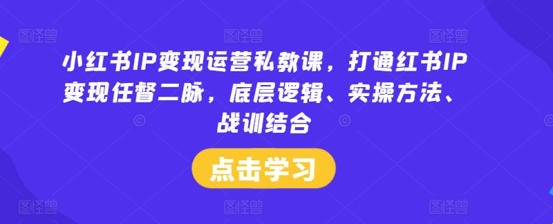 小红书IP变现运营私教课，打通红书IP变现任督二脉，底层逻辑、实操方法、战训结合-金鼎聊项目