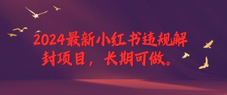 2024最新小红书违规解封项目，长期可做，一个可以做到退休的项目【揭秘】-金鼎聊项目