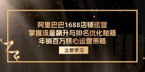 （12184期）阿里巴巴1688店铺运营，掌握流量飙升与排名优化秘籍 年销百万核心运营策略-金鼎聊项目