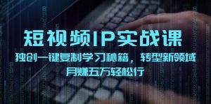 （12193期）短视频 IP实战课，独创一键复制学习秘籍，转战新领域，月赚五万轻松行-金鼎聊项目