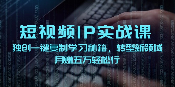 （12193期）短视频 IP实战课，独创一键复制学习秘籍，转战新领域，月赚五万轻松行-金鼎聊项目