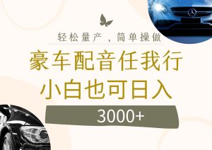(12206期)不为人知的暴力小项目,豪车配音,日入3000+-金鼎聊项目