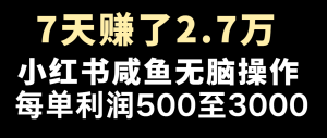 七天赚了2.7万！每单利润最少500+，轻松月入5万+小白有手就行-金鼎聊项目