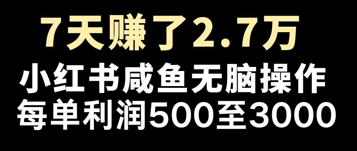 七天赚了2.7万！每单利润最少500+，轻松月入5万+小白有手就行-金鼎聊项目