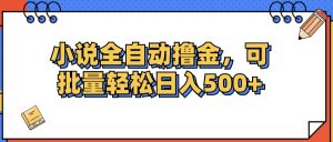 （12244期）小说全自动撸金，可批量日入500+-金鼎聊项目