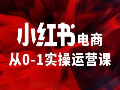 小红书电商从0-1实操运营课，让你从小白到精英-金鼎聊项目