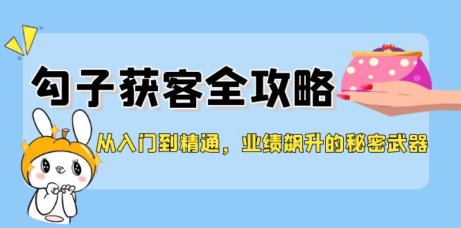 （12247期）从入门到精通，勾子获客全攻略，业绩飙升的秘密武器-金鼎聊项目