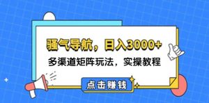 （12255期）日入3000+ 骚气导航，多渠道矩阵玩法，实操教程-金鼎聊项目