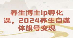 养生博主ip孵化课,2024养生自媒体旗号变现-金鼎聊项目