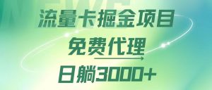 （12321期）流量卡掘金代理，日躺赚3000+，变现暴力，多种推广途径-金鼎聊项目