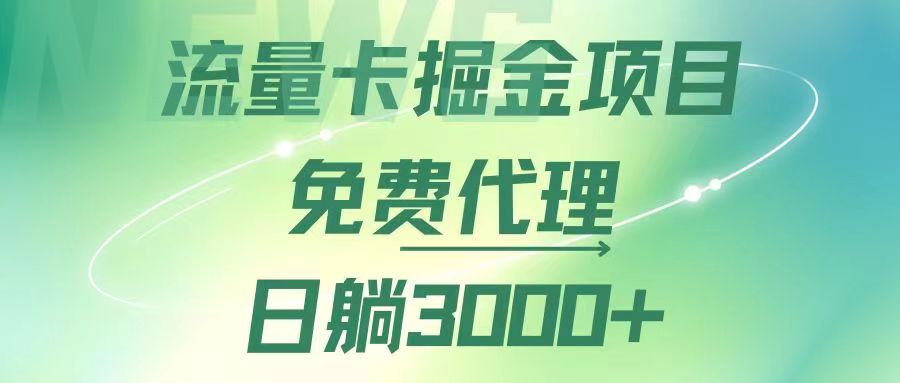 （12321期）流量卡掘金代理，日躺赚3000+，变现暴力，多种推广途径-金鼎聊项目