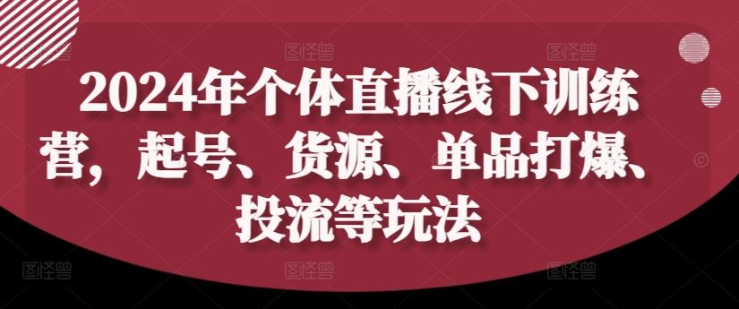 2024年个体直播训练营，起号、货源、单品打爆、投流等玩法-金鼎聊项目