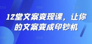 12堂文案变现课，让你的文案变成印钞机-金鼎聊项目