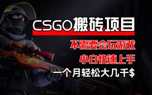 （12332期）CSGO 装备搬砖项目，操作简单，不需要会玩游戏，小白也能快速上手，一…-金鼎聊项目