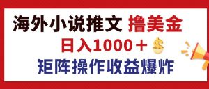 (12333期)最新海外小说推文撸美金,日入1000+ 蓝海市场,矩阵放大收益爆炸-金鼎聊项目