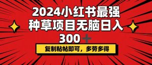 （12336期）2024小红书最强种草项目，无脑日入300+，复制粘帖即可，多劳多得-金鼎聊项目
