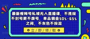 最新视频号私域无人直播课，不违规不封号更不废号，单品佣金50%-65%之间，不灰色不投流-金鼎聊项目
