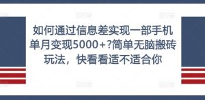 如何通过信息差实现一部手机单月变现5000+?简单无脑搬砖玩法，快看看适不适合你【揭秘】-金鼎聊项目