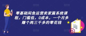 零基础闲鱼运营卖家篇系统课程，门槛低，0成本，一个月多赚个两三千多的零花钱-金鼎聊项目