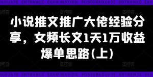 小说推文推广大佬经验分享，女频长文1天1万收益爆单思路(上)-金鼎聊项目