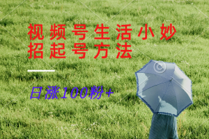 视频号生活小妙招分享赛道， 起号涨粉新方法，日涨100粉-金鼎聊项目