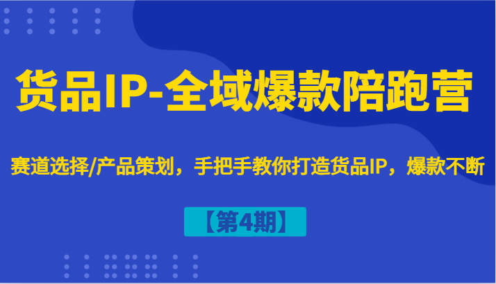 货品IP-全域爆款陪跑营【第4期】赛道选择/产品策划，手把手教你打造货品IP，爆款不断-金鼎聊项目