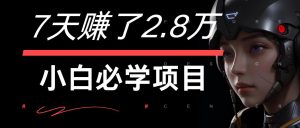 7天赚了2.8万!每单利润最少500+,轻松月入7万+小白有手就行-金鼎聊项目