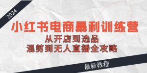 2024小红书电商暴利训练营:从开店到选品,混剪到无人直播全攻略-金鼎聊项目