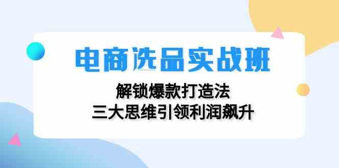 电商选品实战班：解锁爆款打造法，三大思维引领利润飙升-金鼎聊项目