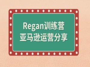 亚马逊流程全解析(Regan训练营)-金鼎聊项目