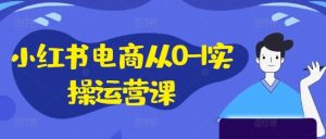 小红书电商从0-1实操运营课，小红书手机实操小红书/IP和私域课/小红书电商电脑实操板块等-金鼎聊项目