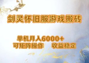 （12471期）网游剑灵打金搬砖，单机月入6000+，可矩阵操作，收益稳定。-金鼎聊项目