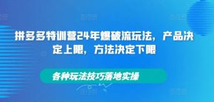拼多多特训营24年爆破流玩法,产品决定上限,方法决定下限,各种玩法技巧落地实操-金鼎聊项目