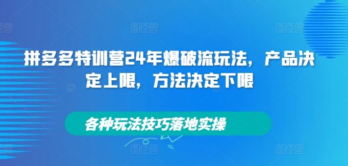 拼多多特训营24年爆破流玩法，产品决定上限，方法决定下限，各种玩法技巧落地实操-金鼎聊项目