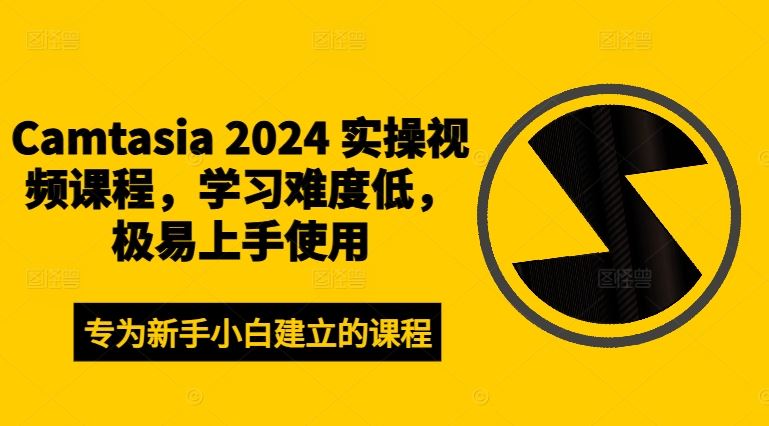 Camtasia 2024 实操视频课程，学习难度低，极易上手使用-金鼎聊项目