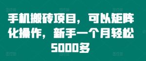 手机搬砖项目，可以矩阵化操作，新手一个月轻松5000多-金鼎聊项目