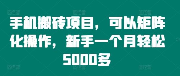 手机搬砖项目，可以矩阵化操作，新手一个月轻松5000多-金鼎聊项目