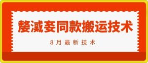 抖音96万粉丝账号【嫠㵄㚣】同款搬运技术-金鼎聊项目