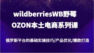 wildberriesWB野莓/OZON本土电商系列课，俄罗斯平台的基础实操技巧/产品优化/爆款打造-金鼎聊项目