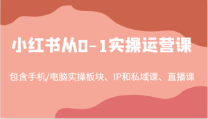 小红书从0-1实操运营课，包含手机/电脑实操板块、IP和私域课、直播课（97节）-金鼎聊项目