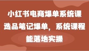 小红书电商爆单系统课-选品笔记爆单，系统课程，能落地实操-金鼎聊项目