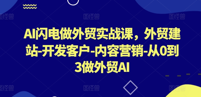 AI闪电做外贸实战课，​外贸建站-开发客户-内容营销-从0到3做外贸AI(更新)-金鼎聊项目