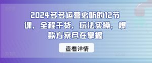 2024多多运营必听的12节课，全程干货，玩法实操，爆款方案尽在掌握-金鼎聊项目