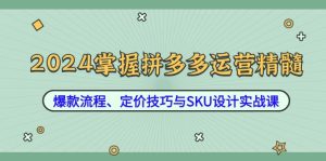 2024掌握拼多多运营精髓：爆款流程、定价技巧与SKU设计实战课-金鼎聊项目